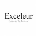 exceleur net