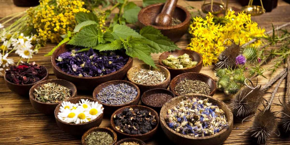 Herbal Extract Market Share, Growth, Trends and Demand Forecast by 2030