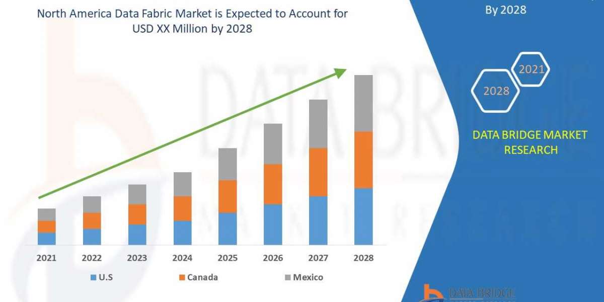 North America Data Fabric Market Global Trends, Share, Industry Size, Growth, Opportunities, and Forecast By 2028