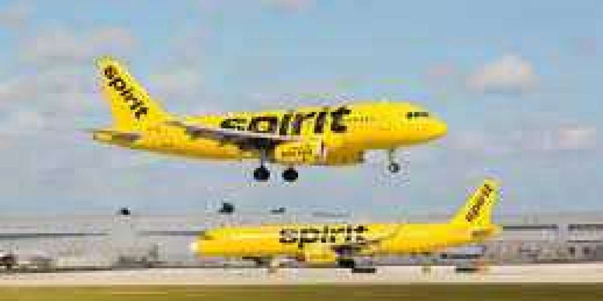 Lost and Found Policy of Spirit Airlines