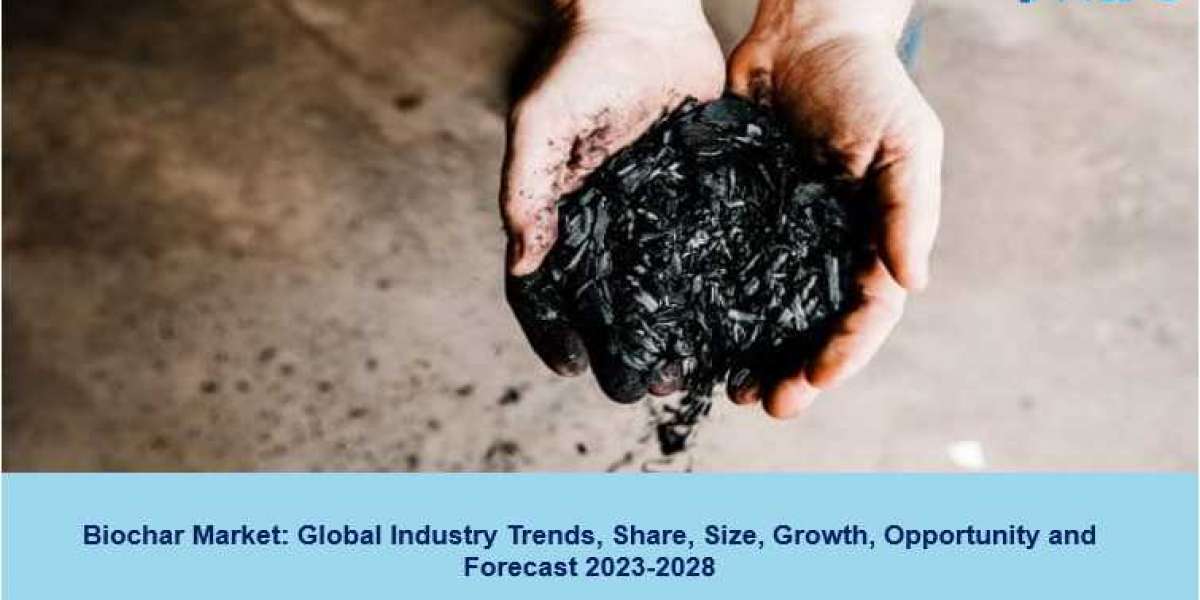 Biochar Market Report 2023-28 | Size, Scope, Growth, Trends and Forecast