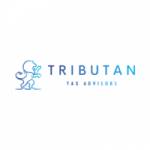 Tributan Tax Advisor