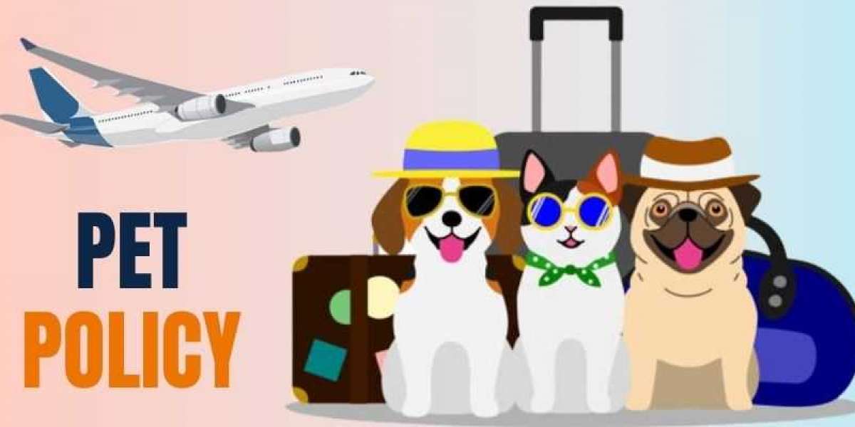 Spirit Airlines Pet Policy