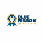 Blue Ribbon Services