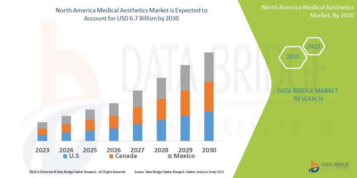 North America Medical Aesthetics Market Growth Prospects, Trends and Forecast by 2030