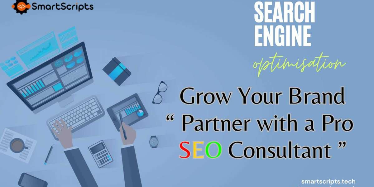 Boost Your Brand: Partner with a Professional SEO Consultant