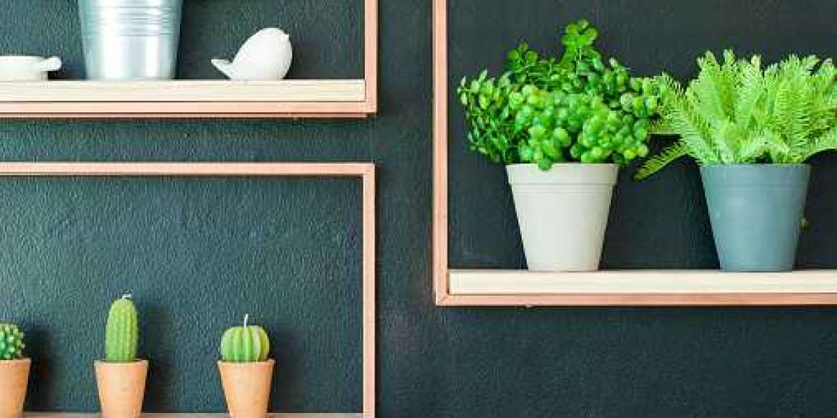 Artificial Plants Market Outlook by Key Player, Statistics, Revenue, and Forecast 2030