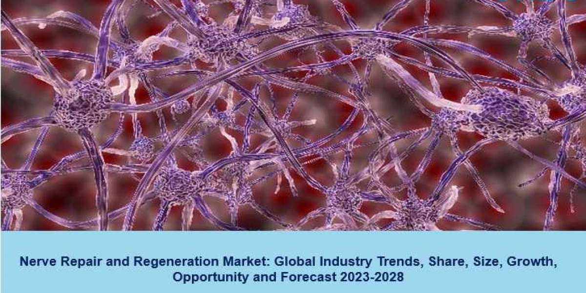 Nerve Repair and Regeneration Market 2023 | Size, Trends, Demand, Growth and Forecast 2028