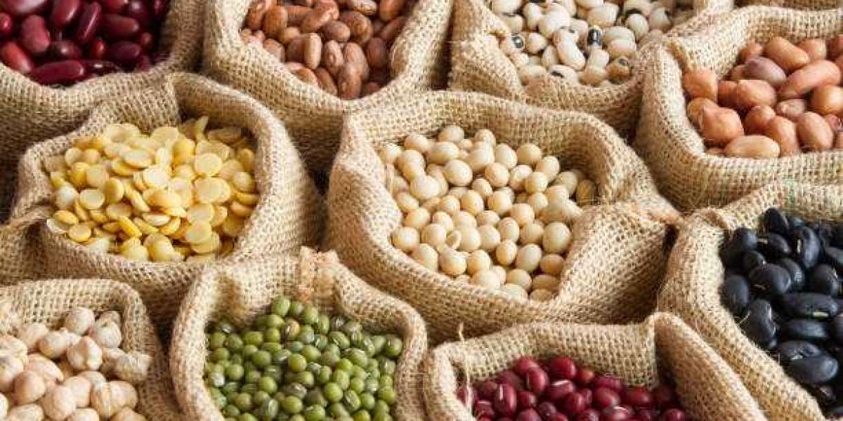 Vegetable Seed Market Growth Analysis Report 2023-2028