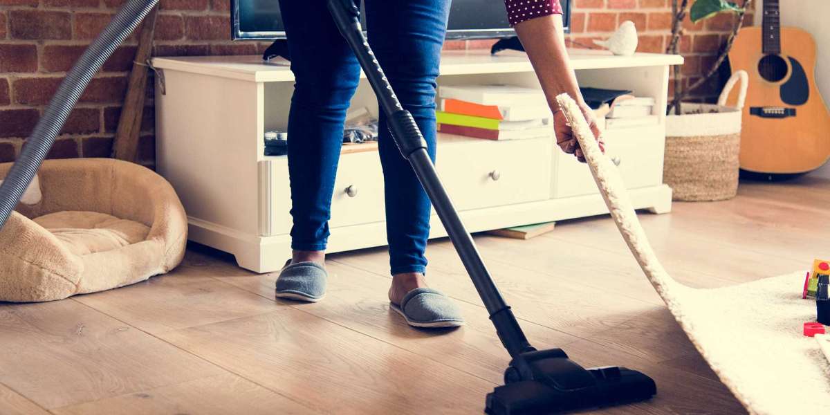 Sparkle & Shine: Revolutionizing the House Cleaning Industry