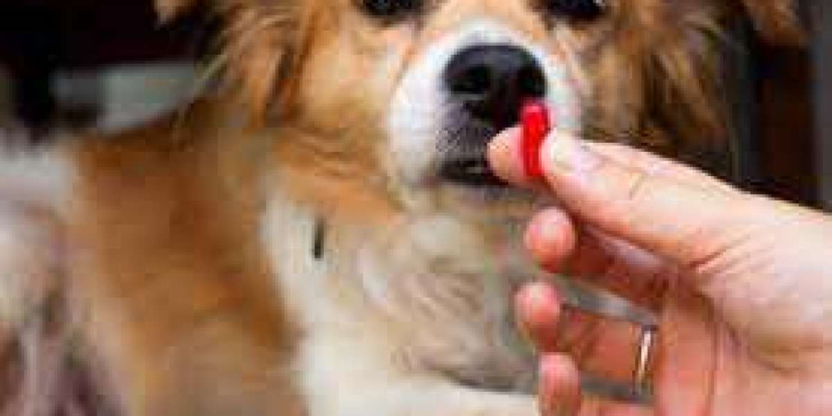 Animal Parasiticides Market Overview Highlighting Major Drivers, Trends, Growth and Demand Report 2030