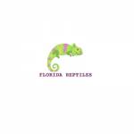 Florida Reptiles