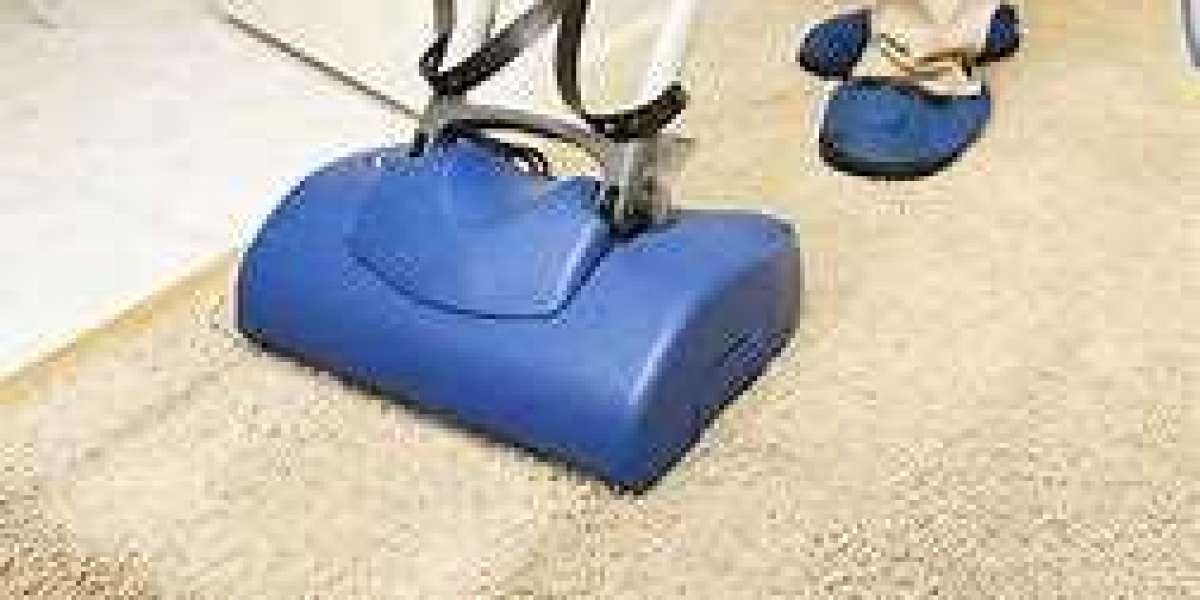 Dive into the Technical Benefits of Professional Carpet Cleaning