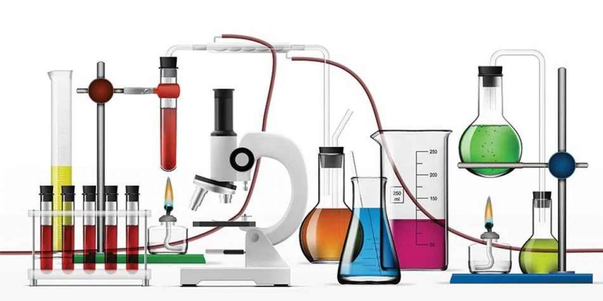 Outlook and Trends: Laboratory Equipment Market Growth