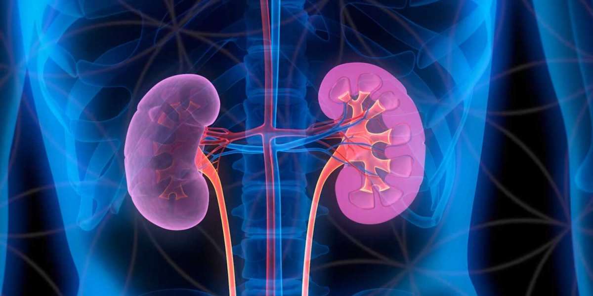 Renal Disease Market Insights Report & Forecast