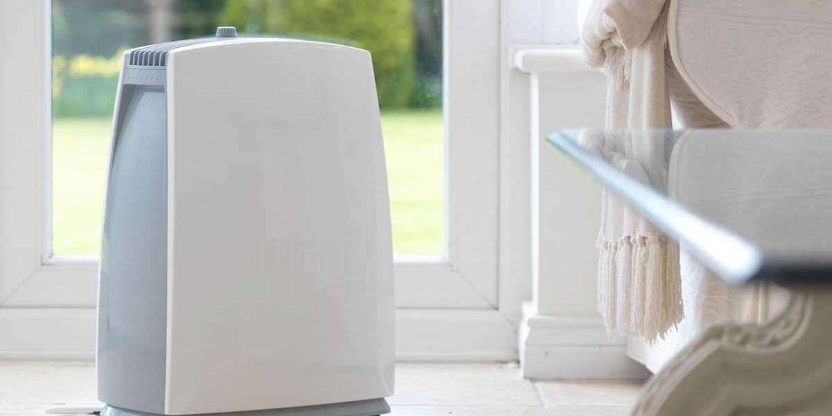 The Dehumidifier Revolution: Understanding the Market and Its Impact