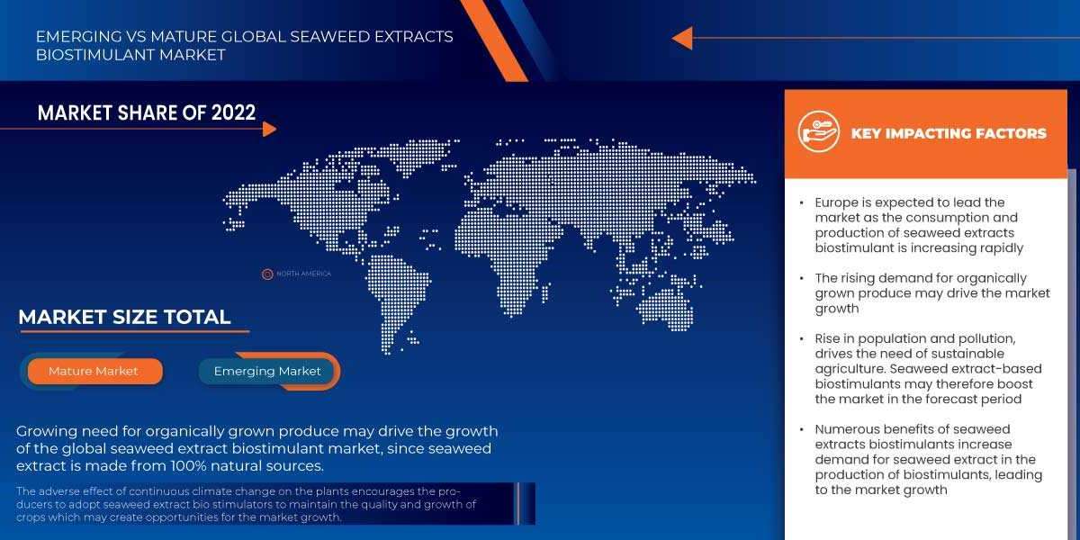 Seaweed Extracts Biostimulant Market To Witness the Maximum Growth Internationally in Coming Years