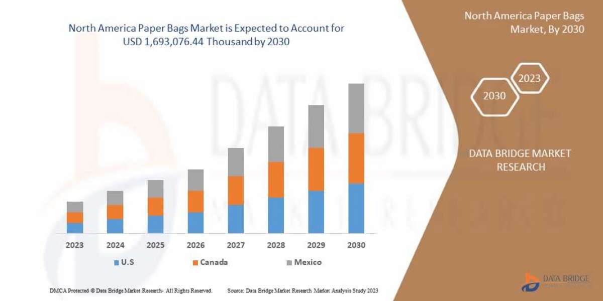 North America Paper Bags Market Global Industry Size, Share, Demand, Growth Analysis and Forecast By 2029