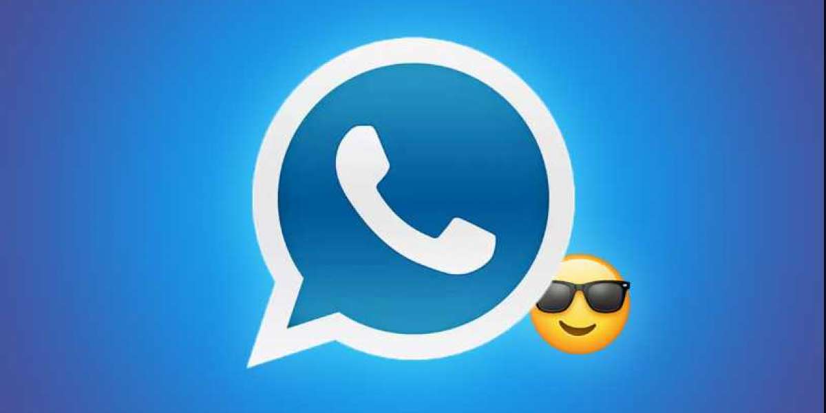 Privacy and Security in Blue WhatsApp Plus