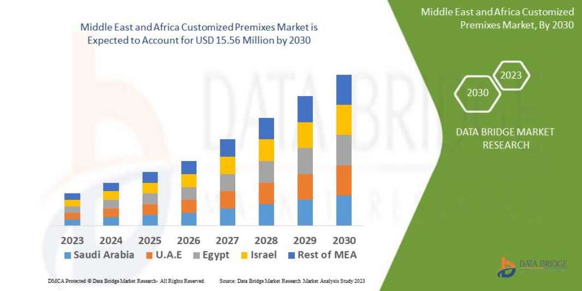 Middle East and Africa Customized Premixes Forecast to 2030: Key Players, Size, Share, Growth, Trends and Opportunities