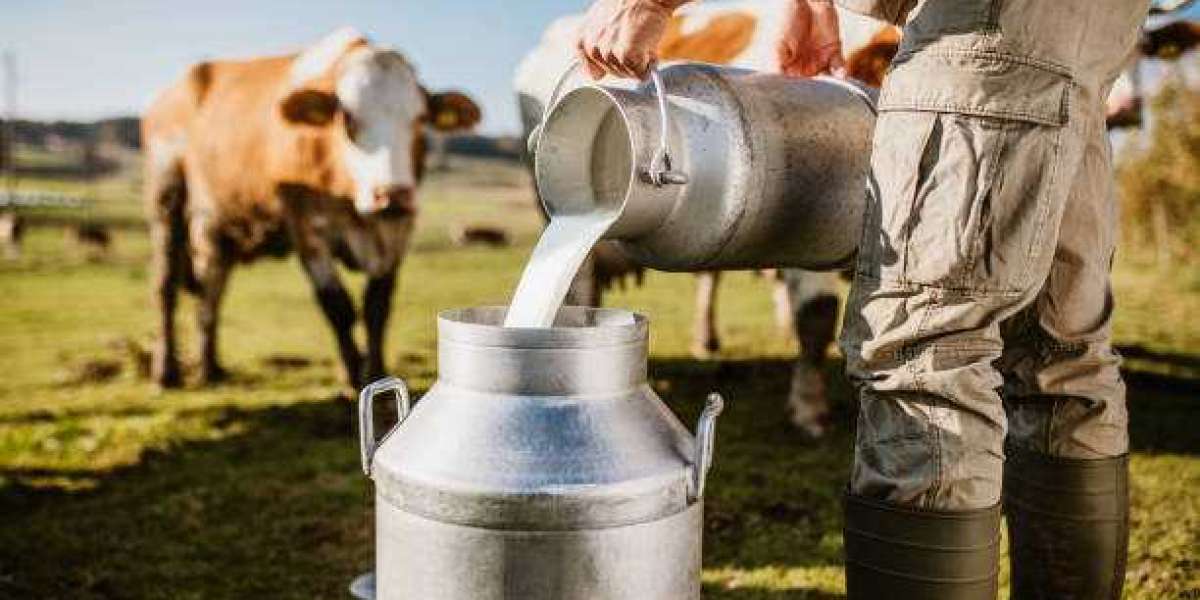 How Cow Milk Can Benefit Your Complexion