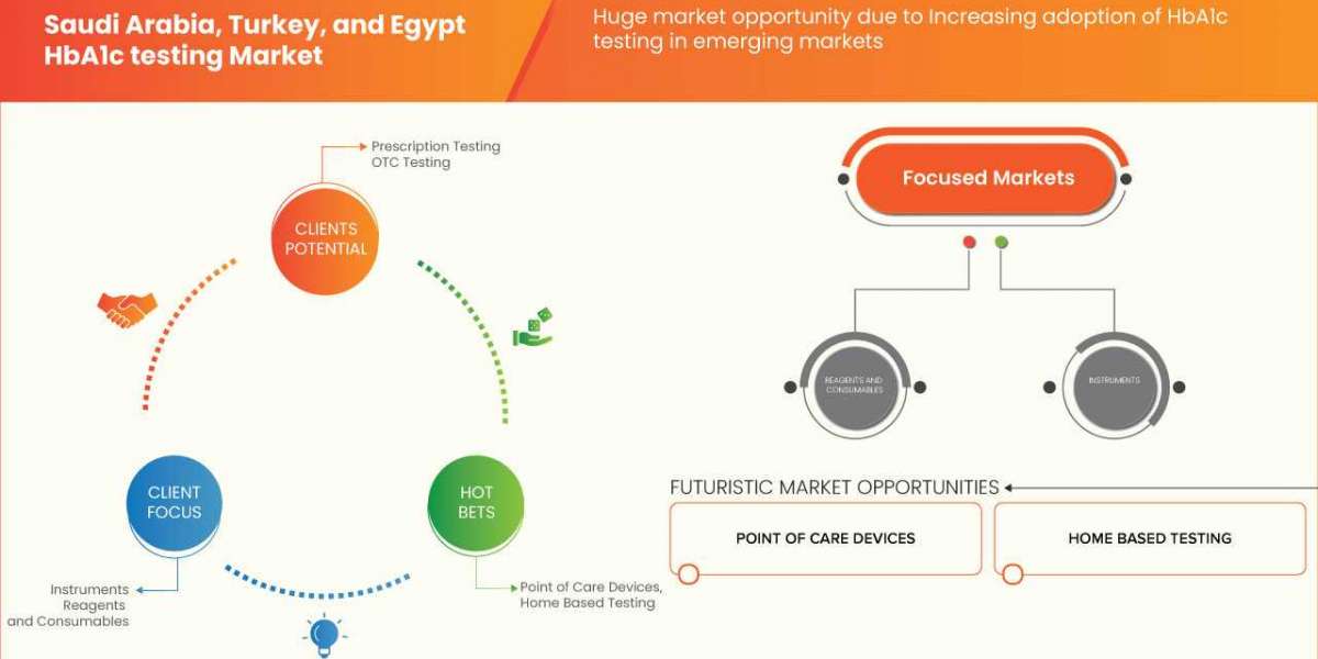 Saudi Arabia, Turkey, and Egypt HbA1c Testing Market Business Opportunities, Revenue, Gross Margin and Forecast 2030