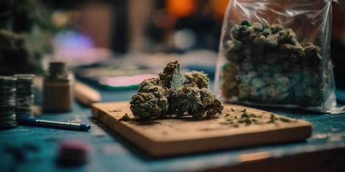 Experience the Best Cannabis Club in Madrid | Madrid Weed Club