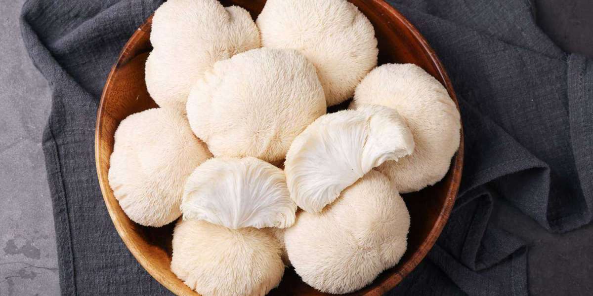 Finding the Best Sources: Where to Buy High-Quality Lion's Mane Mushroom