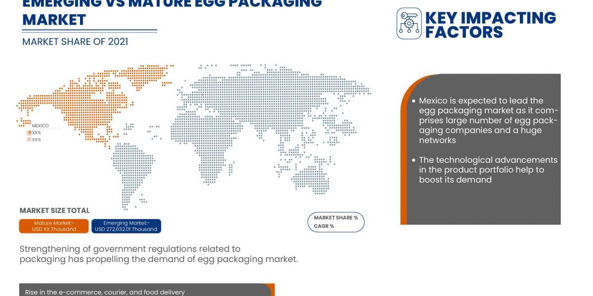 Mexico Egg Packaging Market Size, Potential Growth, Share, Demand and Analysis Of Key Players- Research Forecast