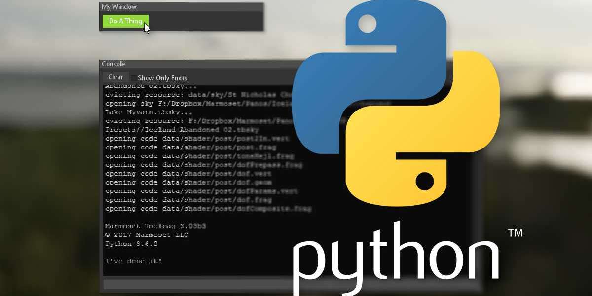 Mastering Python Scripts: A Path to Automation and Efficiency