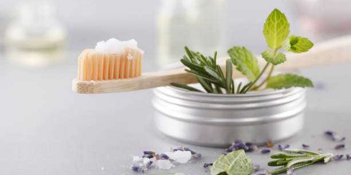 Herbal Toothpaste Market Size, Top Competitors, Growth by Regional Investment 2032