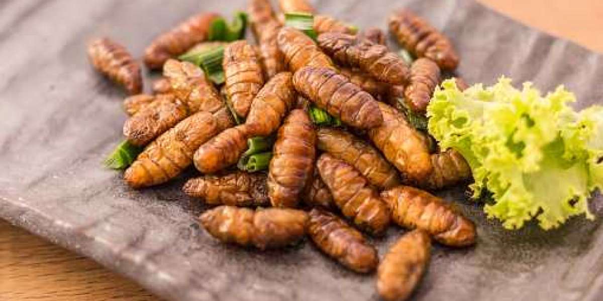 Edible Insects Market Insights: Growth, Key Players, Demand, and Forecast 2032