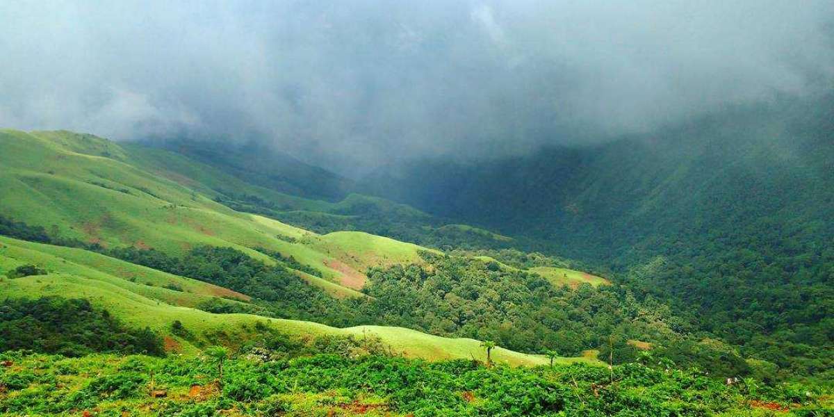 "The Ultimate Chikmagalur Tour from Bangalore: A Coffee Lover's Paradise"