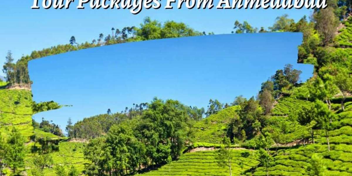 Quiet Withdraws: Munnar tour packages from Ahmedabad by Lock Your Trip