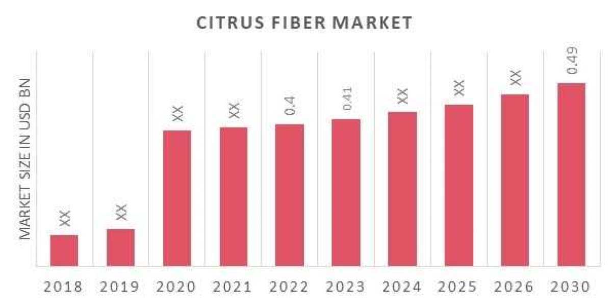 Citrus Fiber Market Trend, Opportunity Analysis and Industry Forecast 2030.