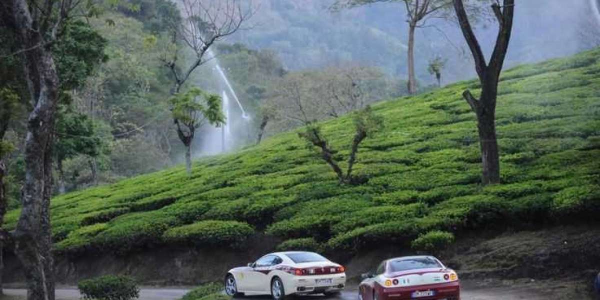 Bangalore to Ooty: Best Time to Visit and Tour Packages