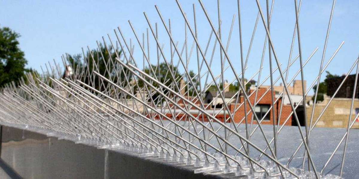Mastering Bird Spikes for Property Protection through Flight Control