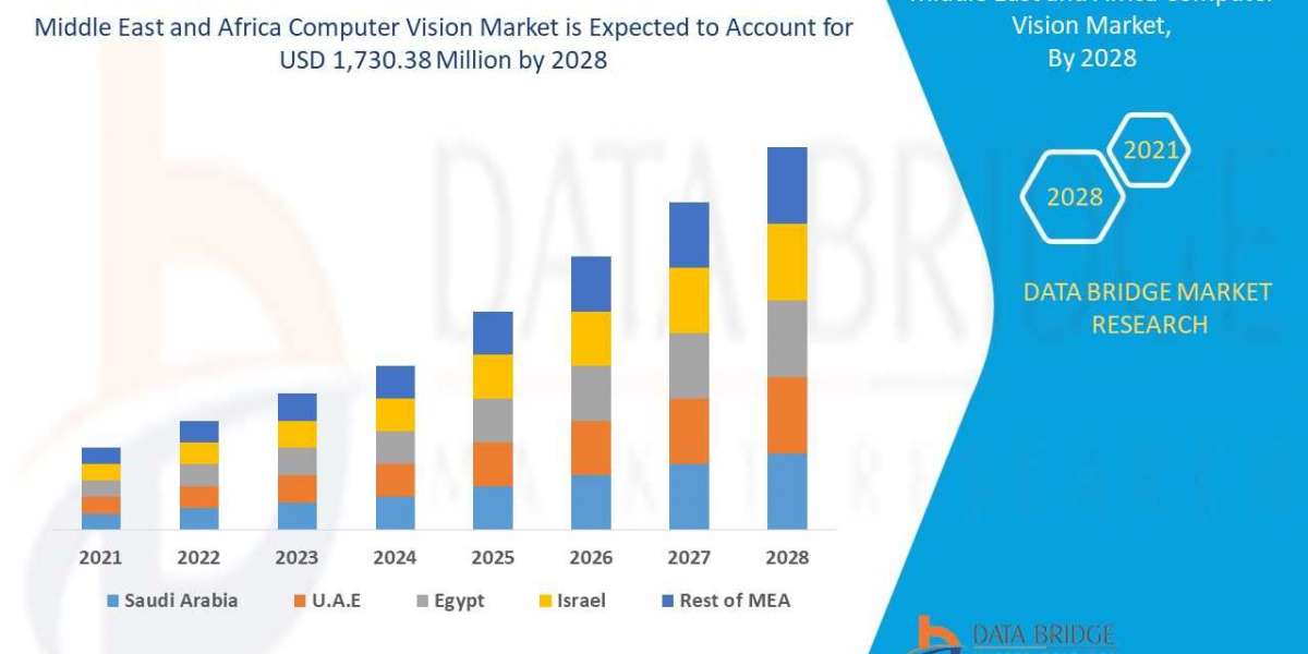 Middle East and Africa Computer Vision Market    Global Trends, Share, Industry Size, Growth, Opportunities and Forecast
