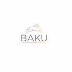 BAKU SOLUTIONS