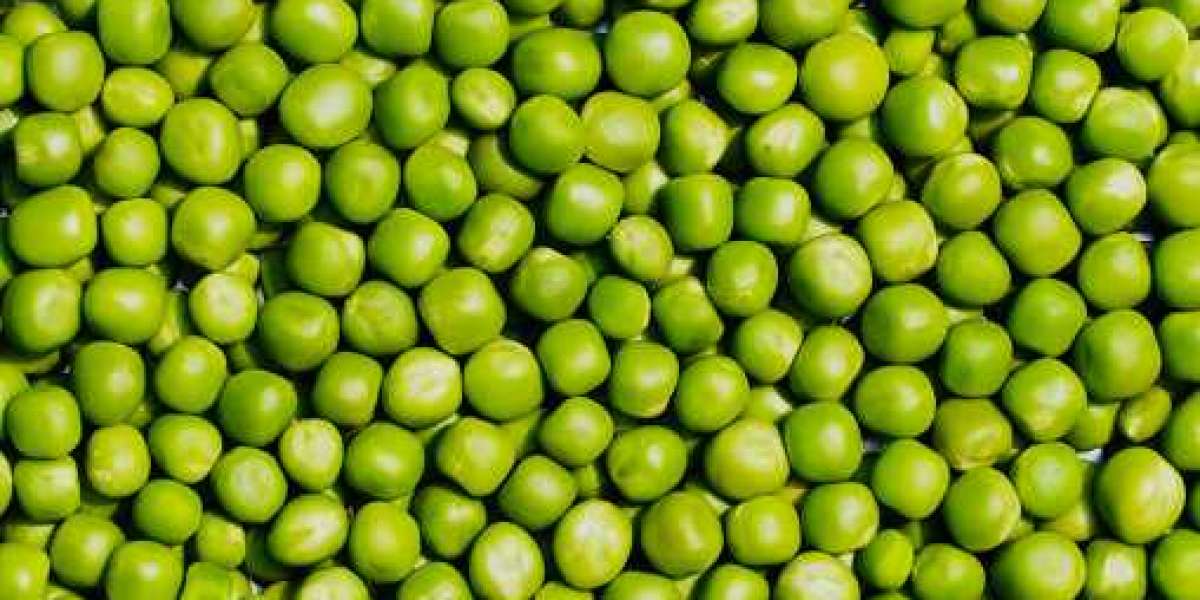 Pea Starch Key Market Players, Statistics, Gross Margin, and Forecast 2030