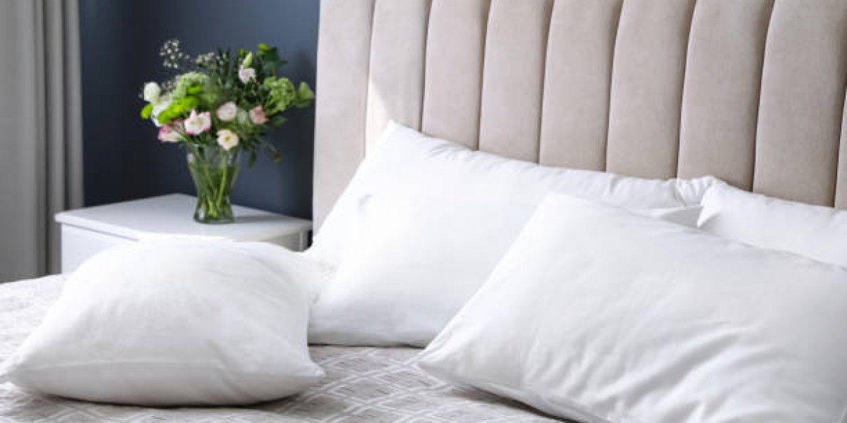 Pillow Market To Witness Increase In Revenues By 2030