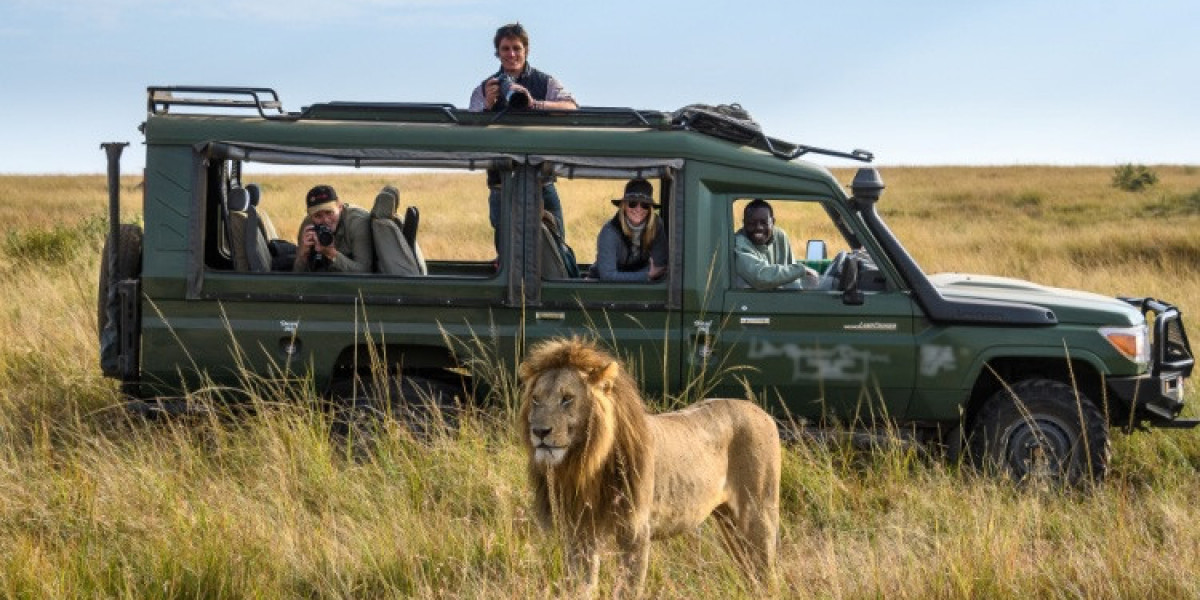 Embarking on a Wildlife Odyssey: The Allure of Kenya's Safari Adventures