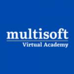 Multisoft Academy