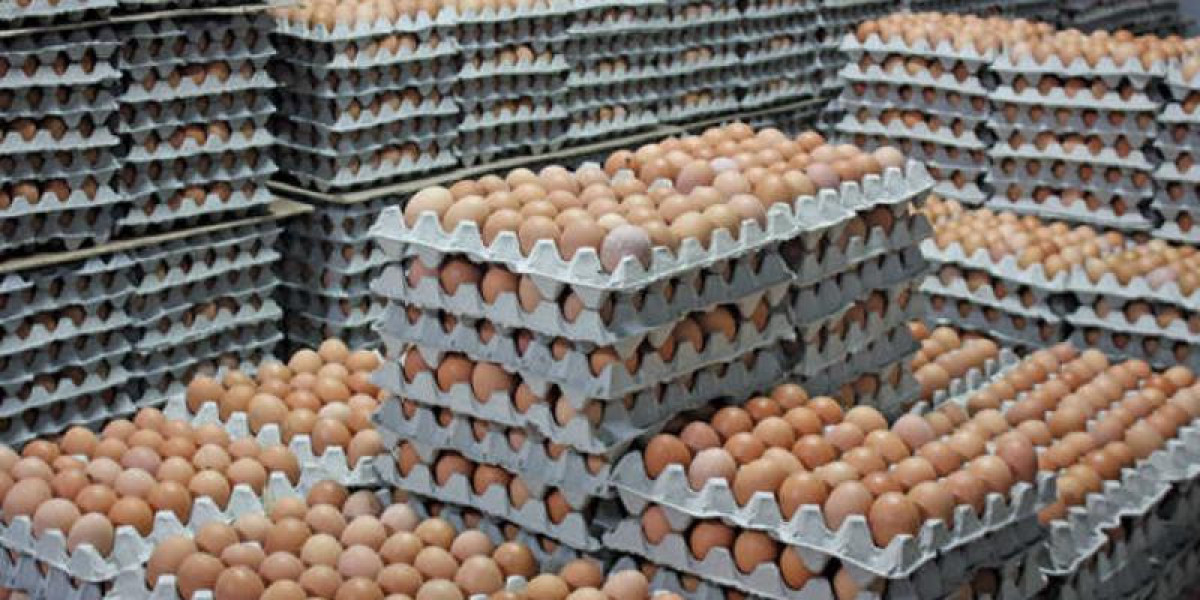 Frozen Egg Market Value to Exceed US$ 6,245.8