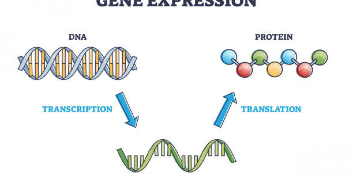 Gene Expression Market Size, Share Analysis, Key Companies, and Forecast To 2030