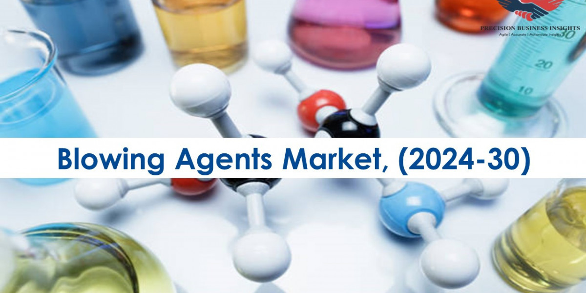 Blowing Agents Market Research Insights 2024-30