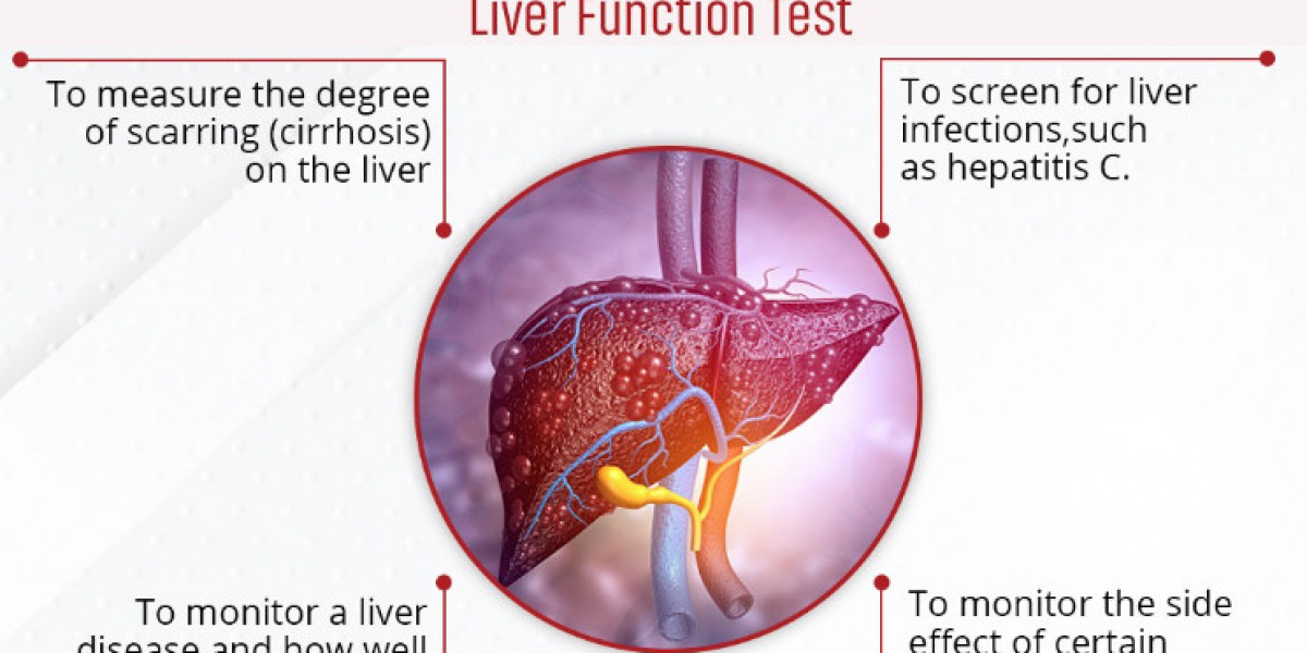 Liver Function Test at Best Price  - Agilus Diagnostics Apps