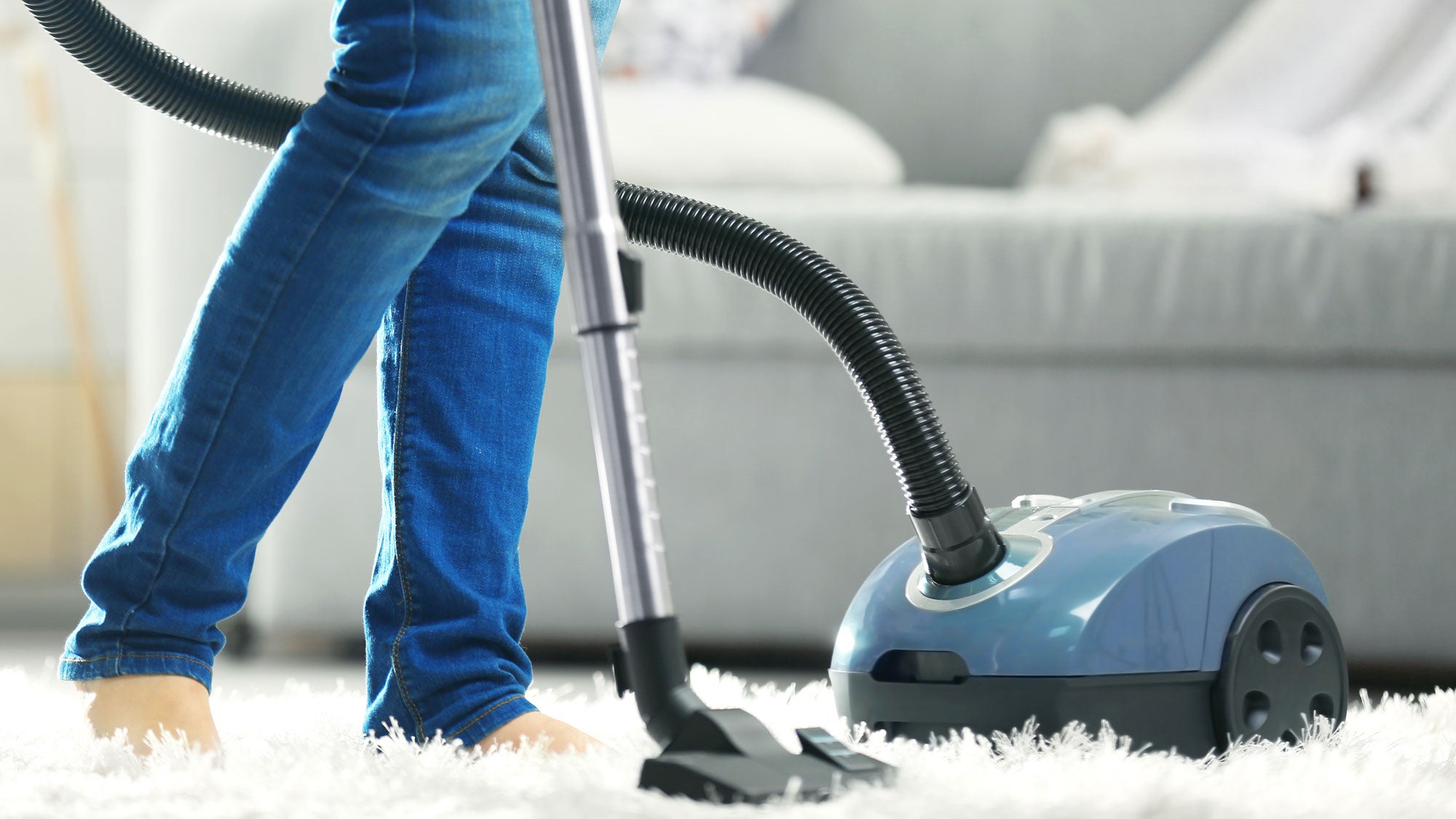 What Makes A Vacuum Cleaner Necessity For Pet Owners? - WriteUpCafe.com