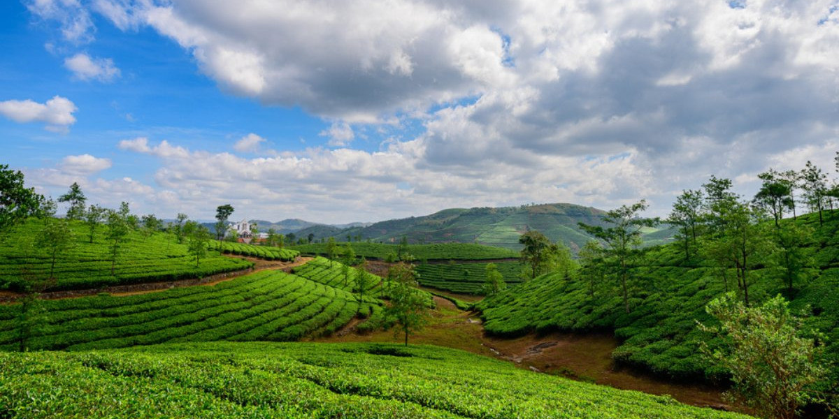 Discovering Romantic Bliss: Vagamon - A Hidden Gem in Kerala's Honeymoon Packages