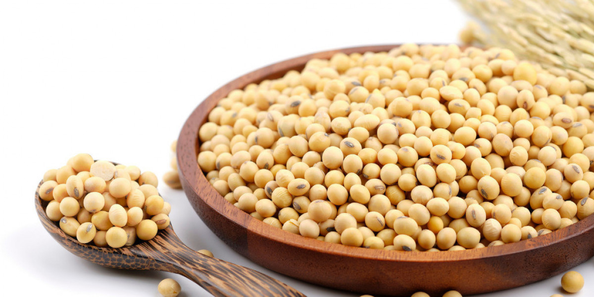 Soy Protein Market Share, Trends, Overview, Report, 2023-2028